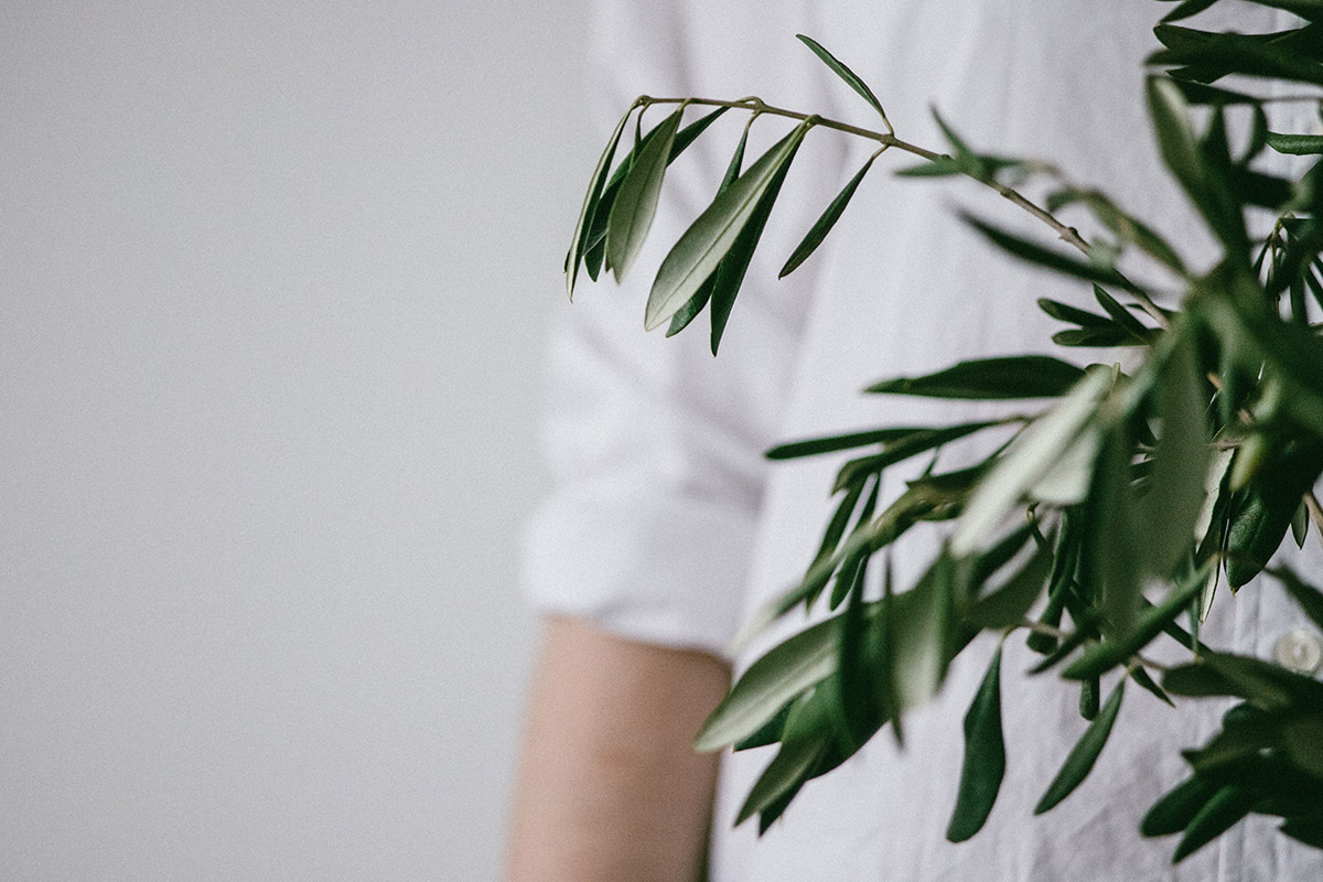 Faux serveur caché derrière une plante