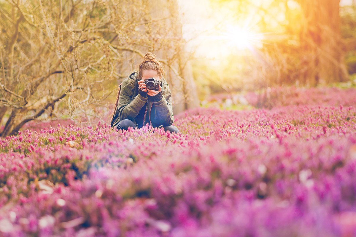 Photographe prenant une photo dans un champ de fleurs