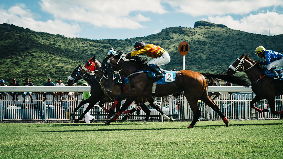 Course de chevaux sur herbe