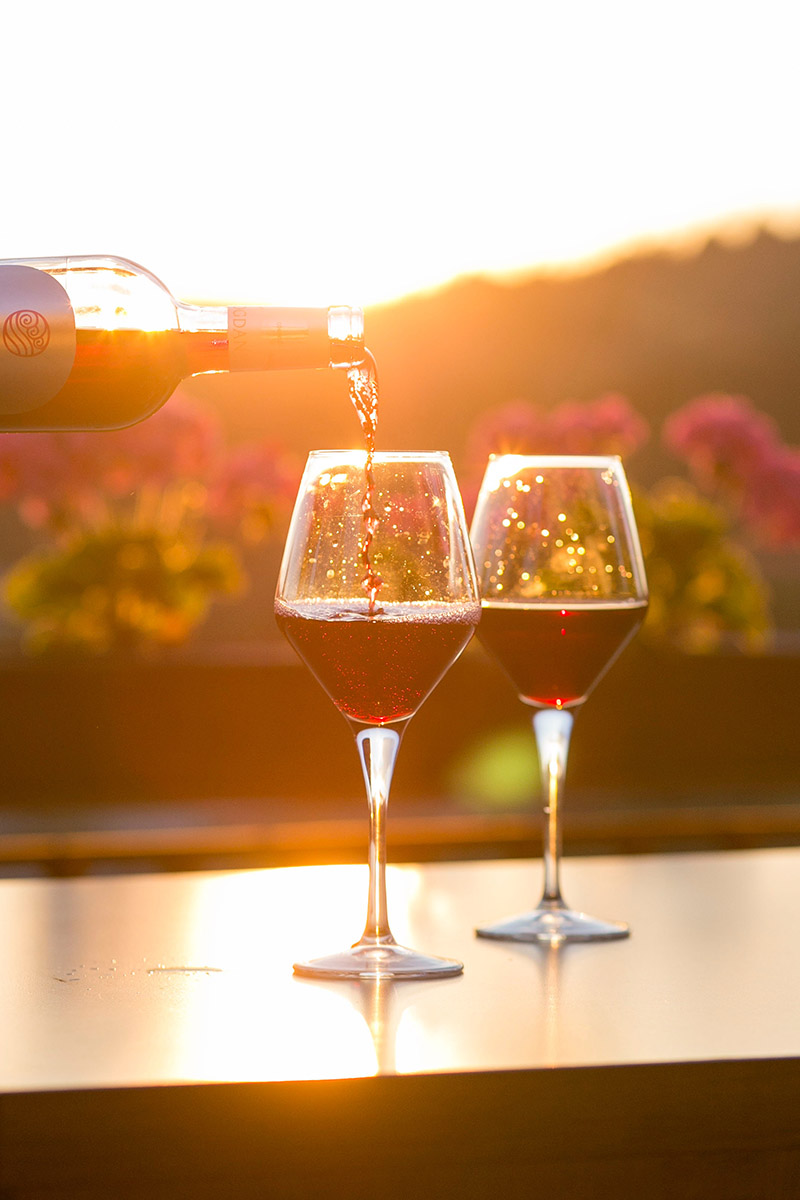 Dégustation oenologique avec deux verres de vin rouge