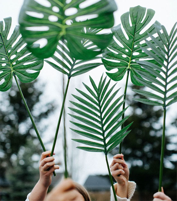 Main braudisant des feuilles de plantes vertes
