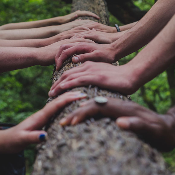 mains réunies d'une équipe de participant à une animation team building