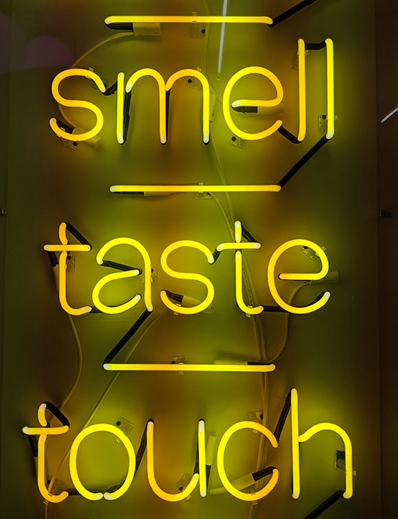 mots en néon inspiré de 3 de nos 5 sens : smell taste touch