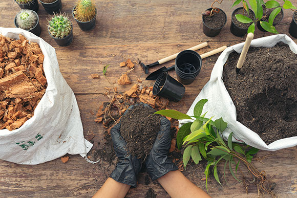 atelier jardinage lors d'une animation team building sur l'écologie